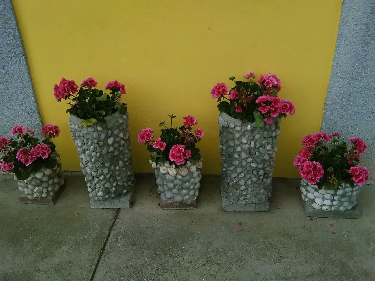 B&B Tisoi Belluno Bed & Breakfast